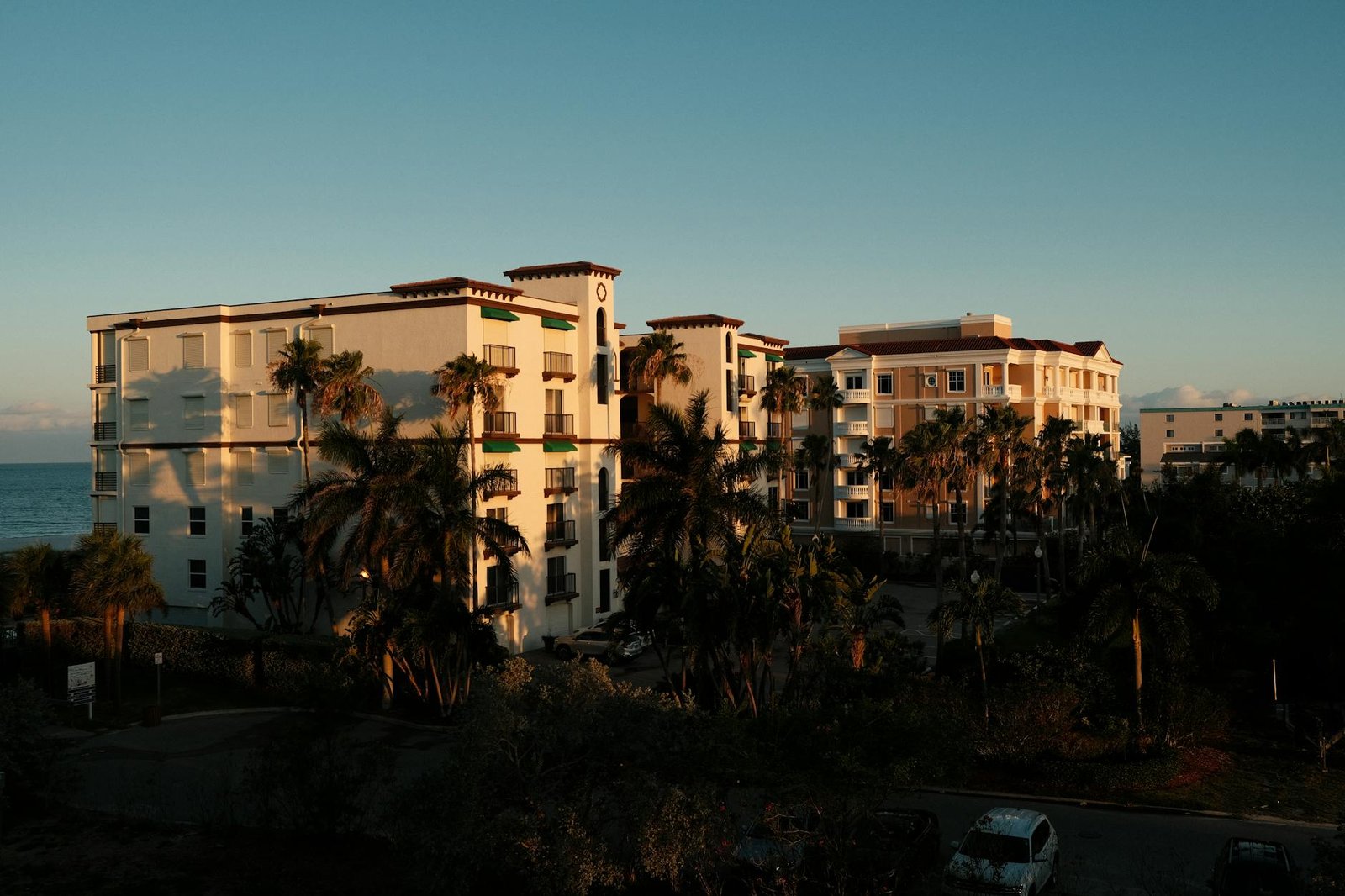 Sunlit residential buildings with palm trees in St. Petersburg, FL.
