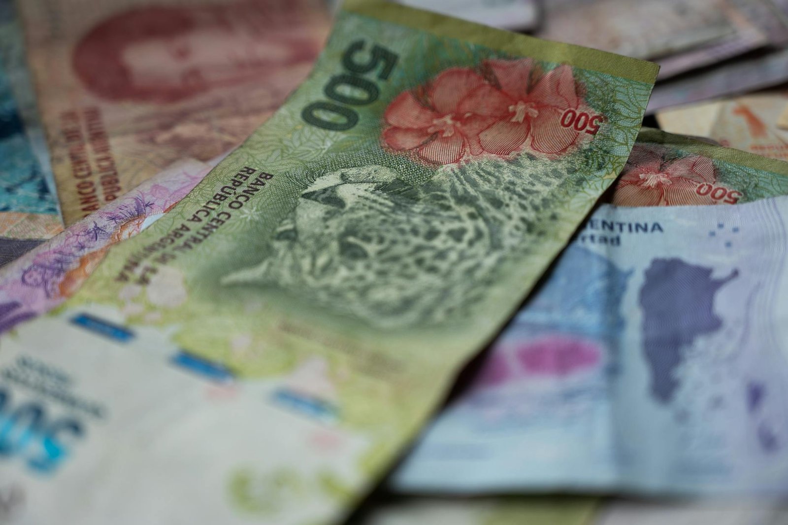 Detailed view of Argentine currency featuring wildlife illustrations.