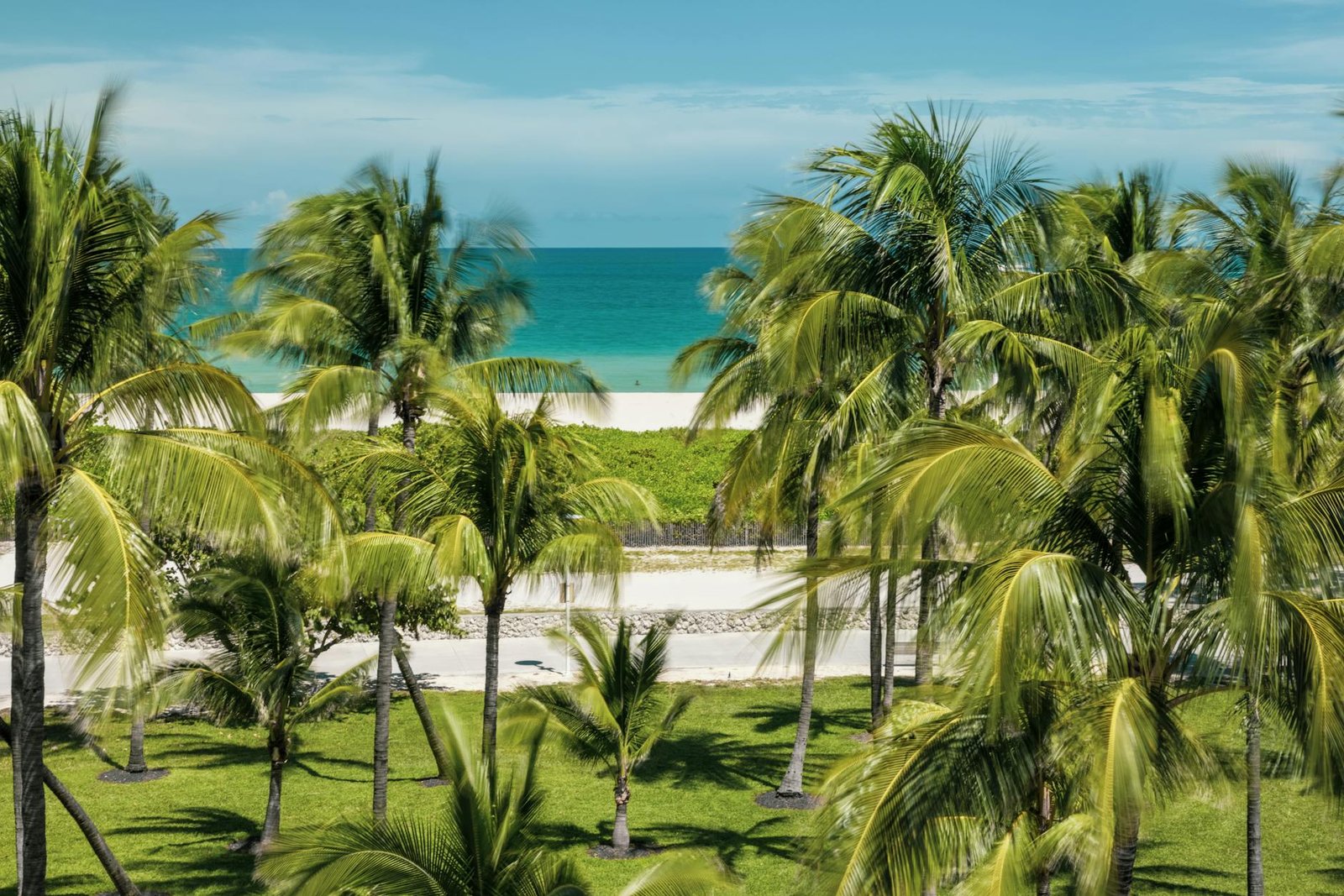 Palm trees sway against a backdrop of white sand and turquoise ocean in Miami Beach, Florida.