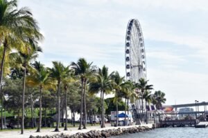 Miami recibe $1.2 mil millones: el nuevo Silicon Valley atrae inversores