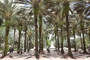 Miami lidera el crecimiento inmobiliario de Florida en mayo 2026